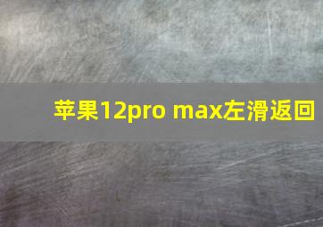 苹果12pro max左滑返回